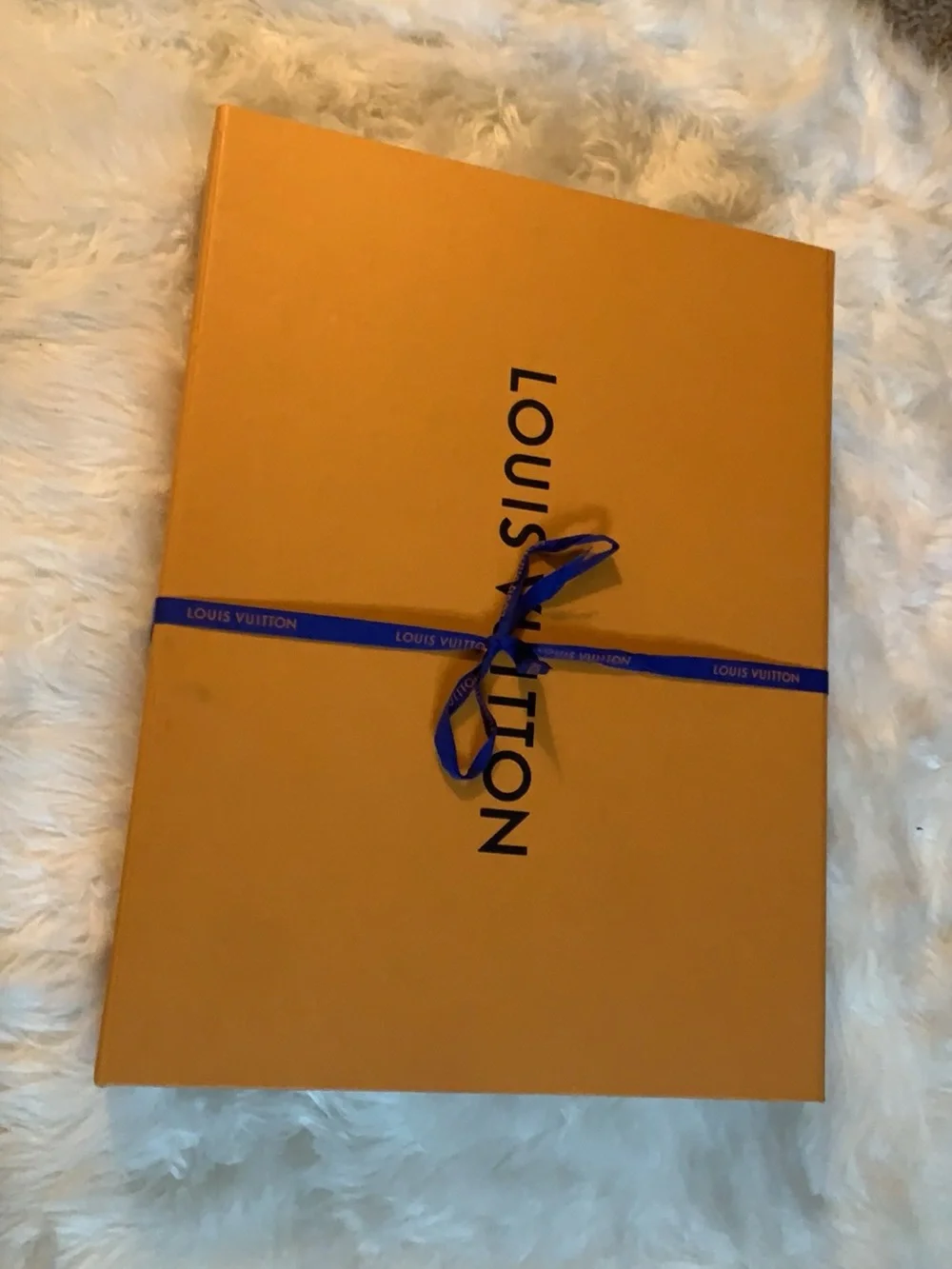 Louis Vuitton signature lv